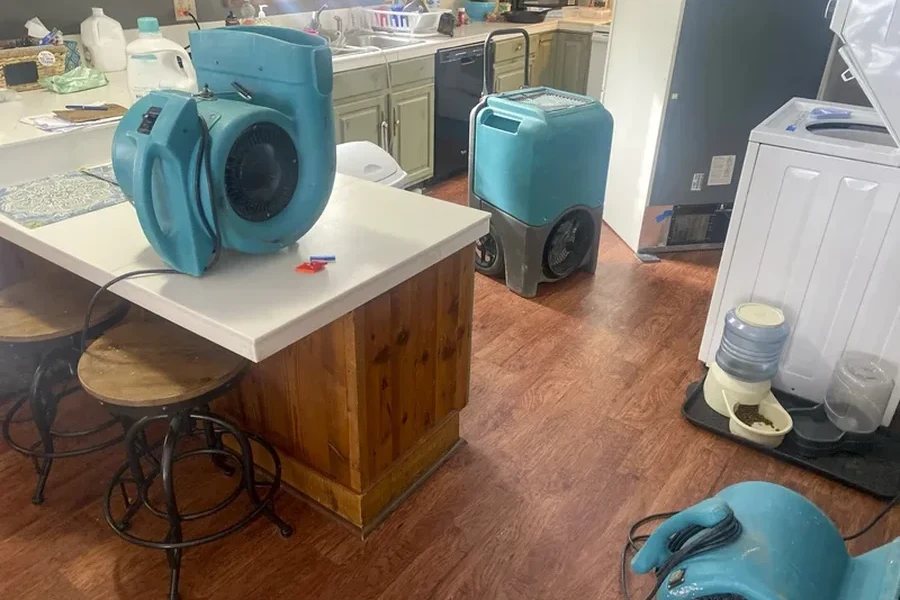 Excellent Water Damage Repair Nuevo, CA Excellent Water Damage Repair Nuevo, CA